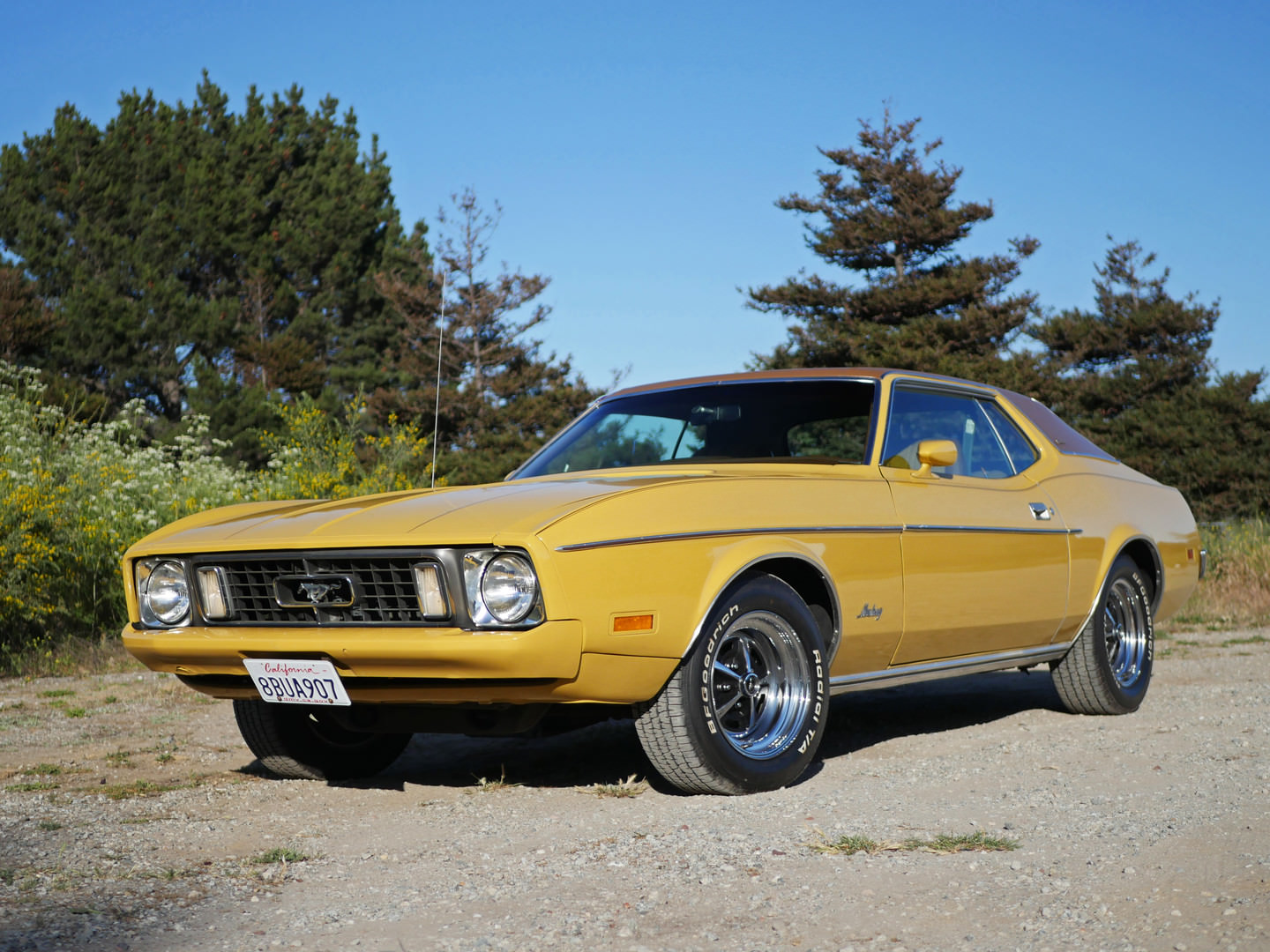 1969-1973 Ford Mustang Grande