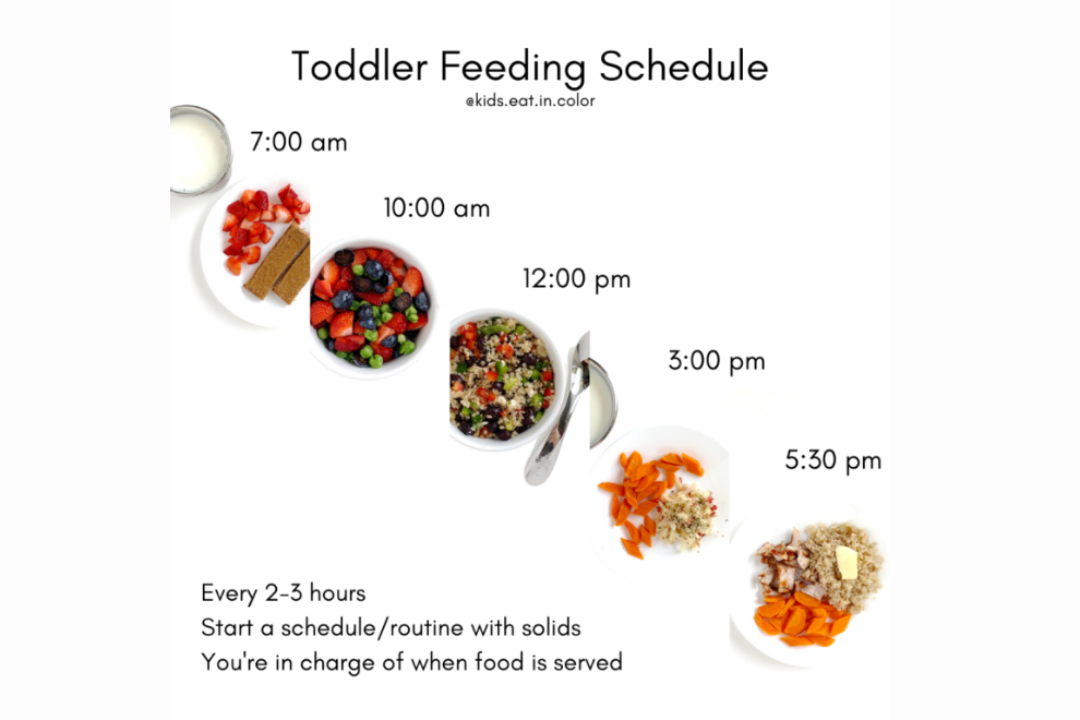 Feeding Schedules