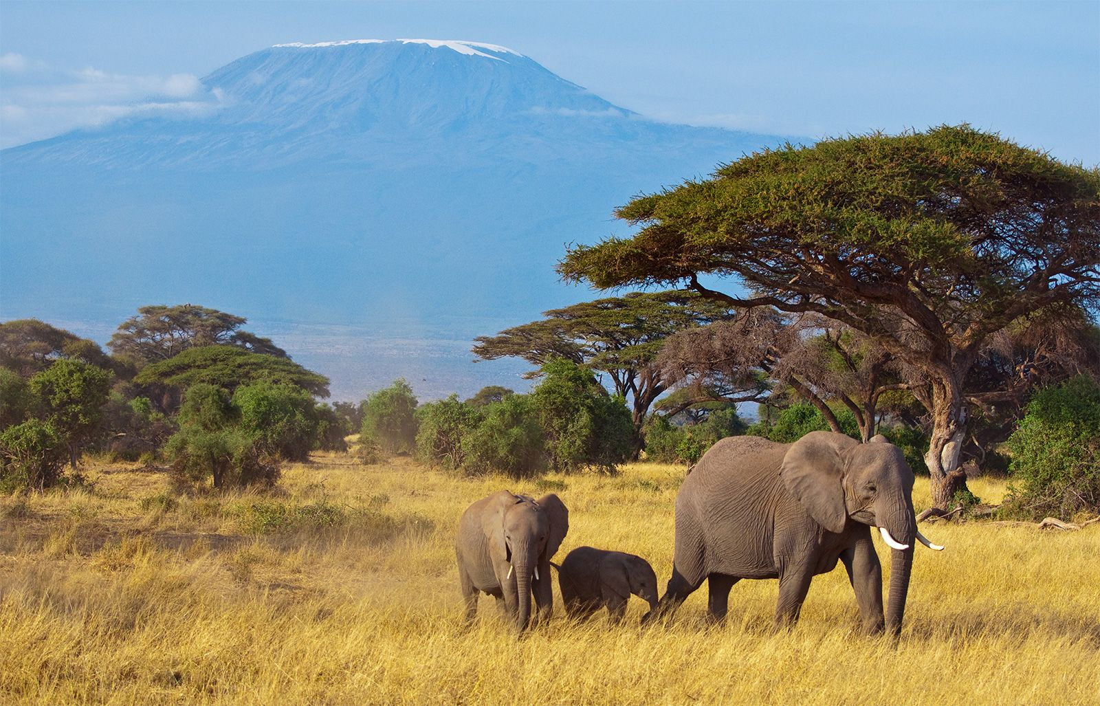 The Role of Habitats in Ecosystems